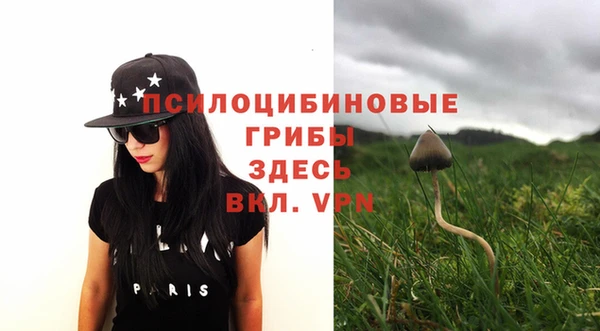 круглые Белокуриха