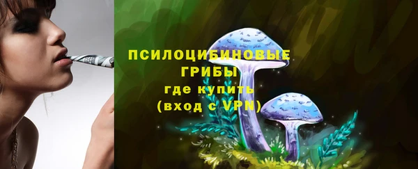 круглые Белокуриха