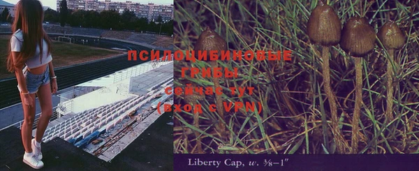 гашишное масло Белоозёрский